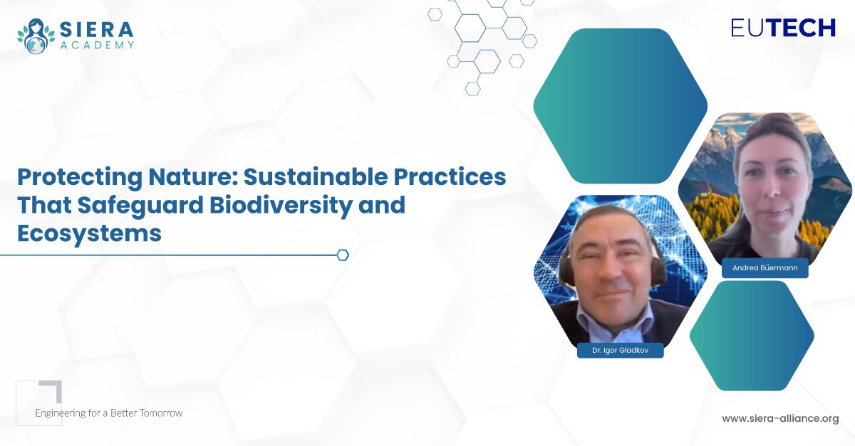 Protecting Nature: Sustainable Practices That Safeguard Biodiversity and Ecosystems